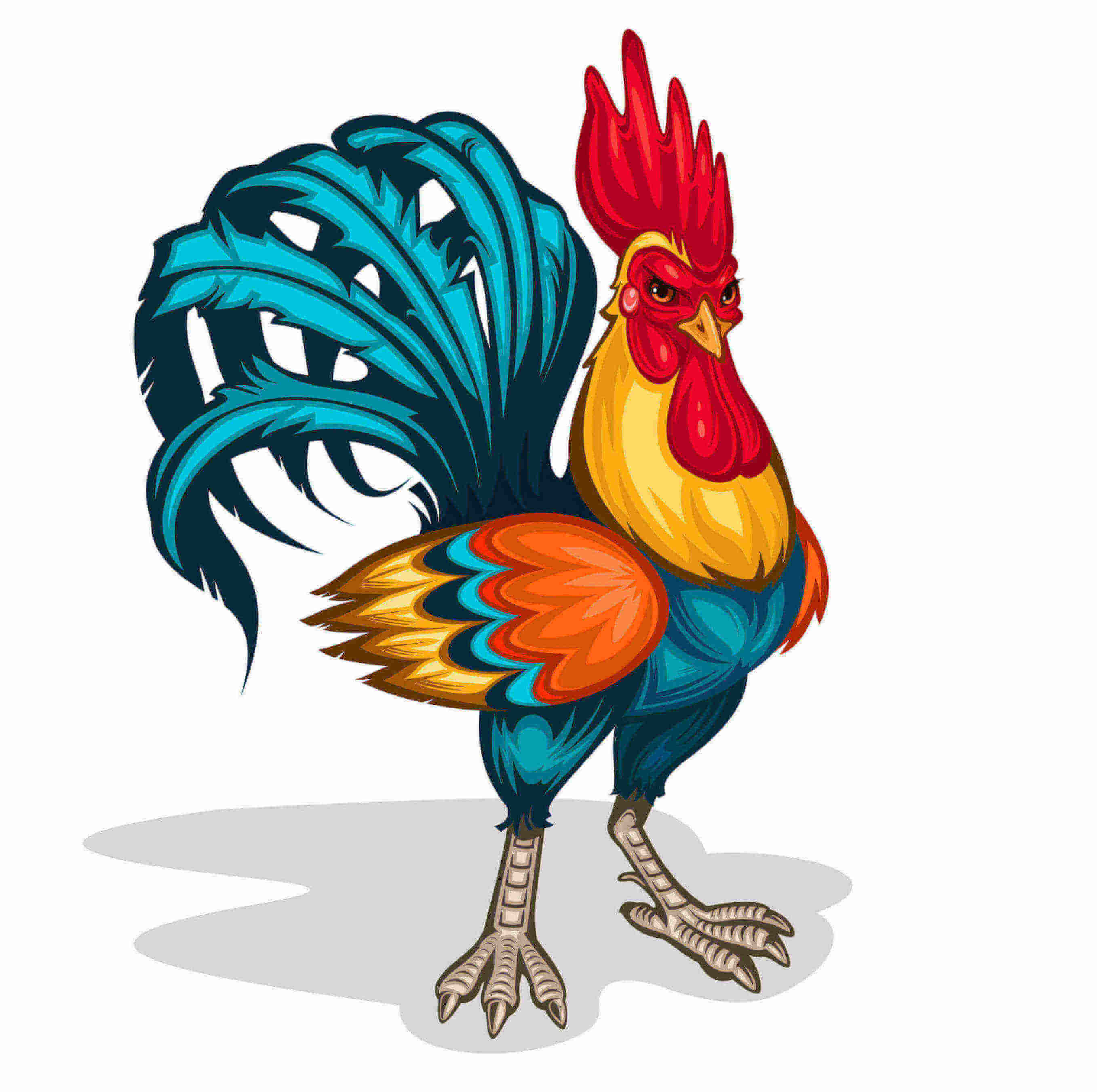Vector art of a rooster resized Vector art of a rooster resized